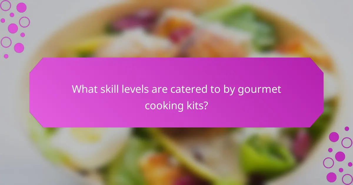 What skill levels are catered to by gourmet cooking kits?